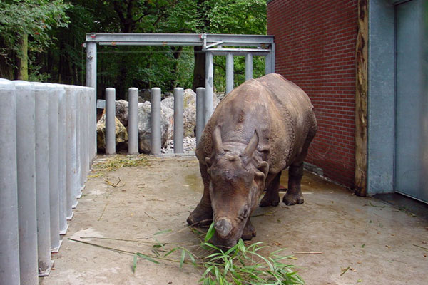 Sonder-Torantriebe für ein Nashorn-Gehege in einem Zoo